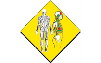 Logo von Krankengymnastik Montag Walter