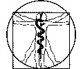 Logo von Praxis für Physiotherapie Kania