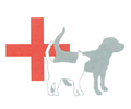Logo von Sieg Horst Dr. med. vet. Tierarztpraxis